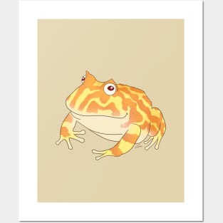 Albino Pacman Frog Posters and Art